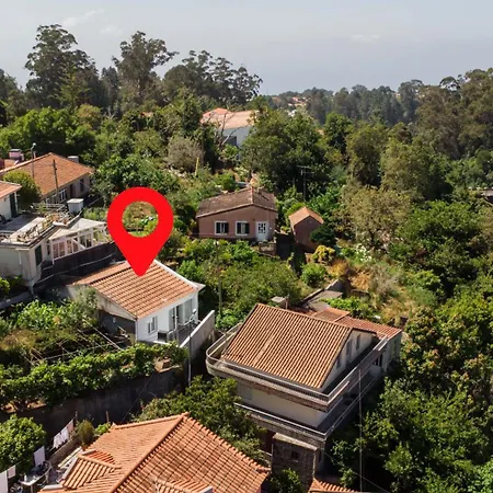 Joana's House Camacha (Madeira)